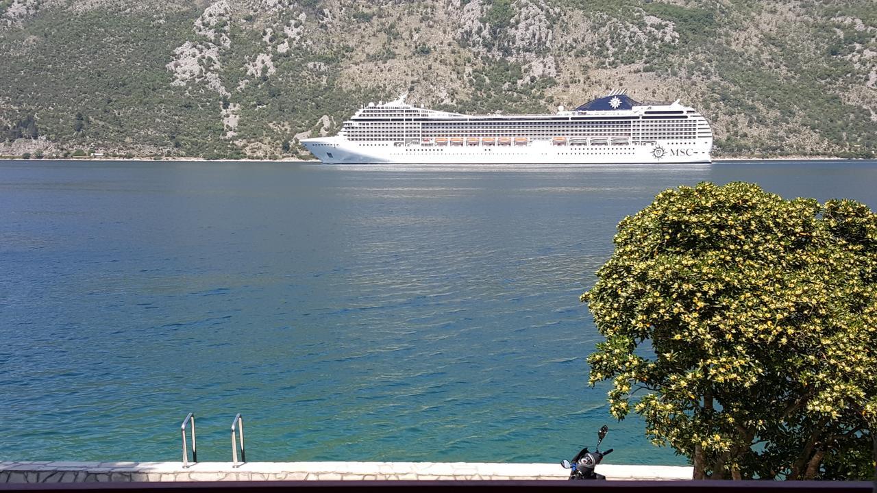 A Hundred Olive Trees Apartments Kotor Extérieur photo