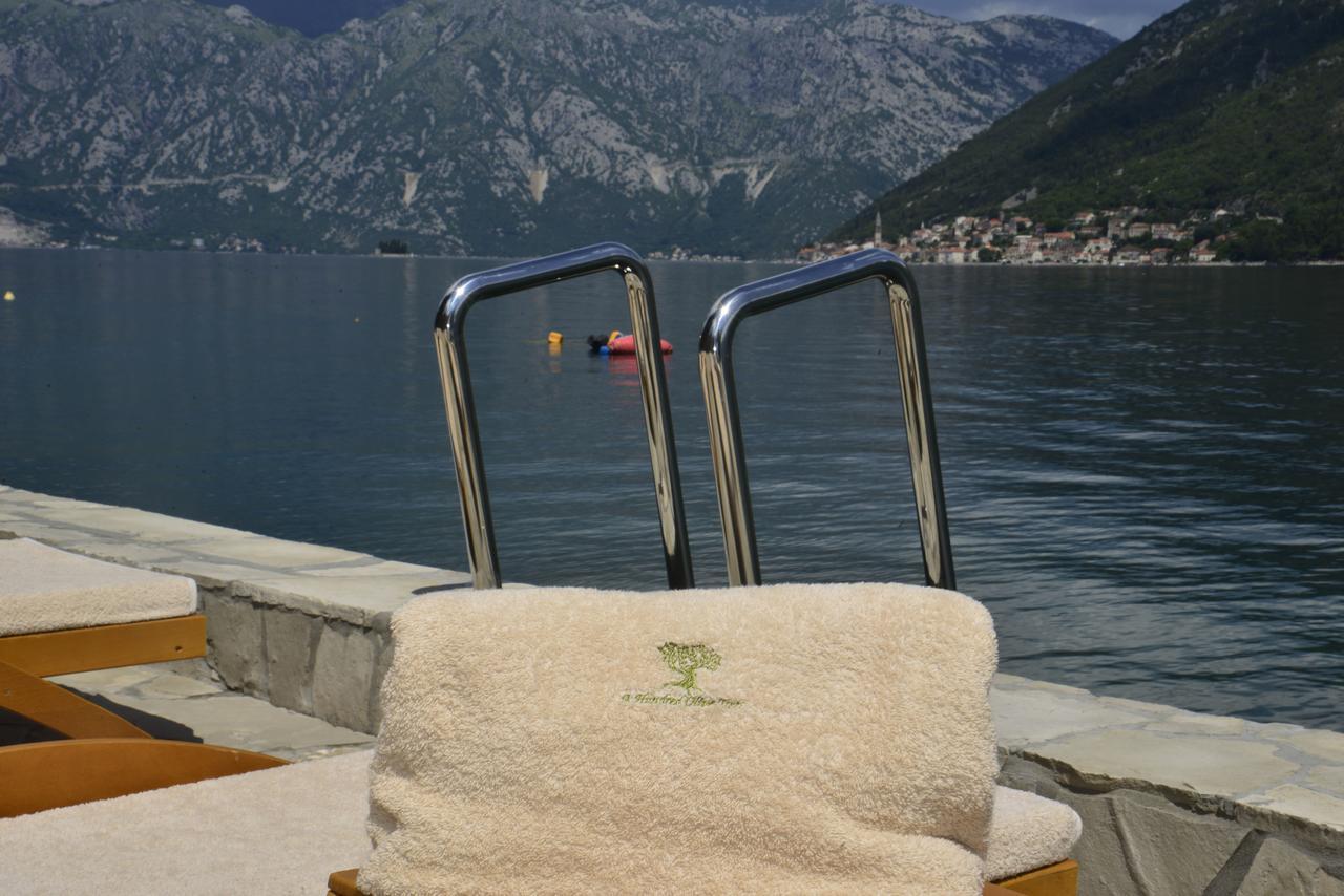 A Hundred Olive Trees Apartments Kotor Extérieur photo