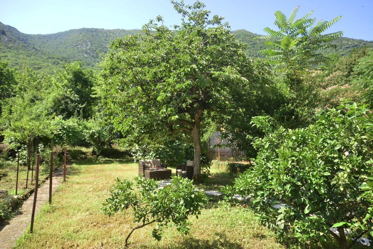 A Hundred Olive Trees Apartments Kotor Extérieur photo