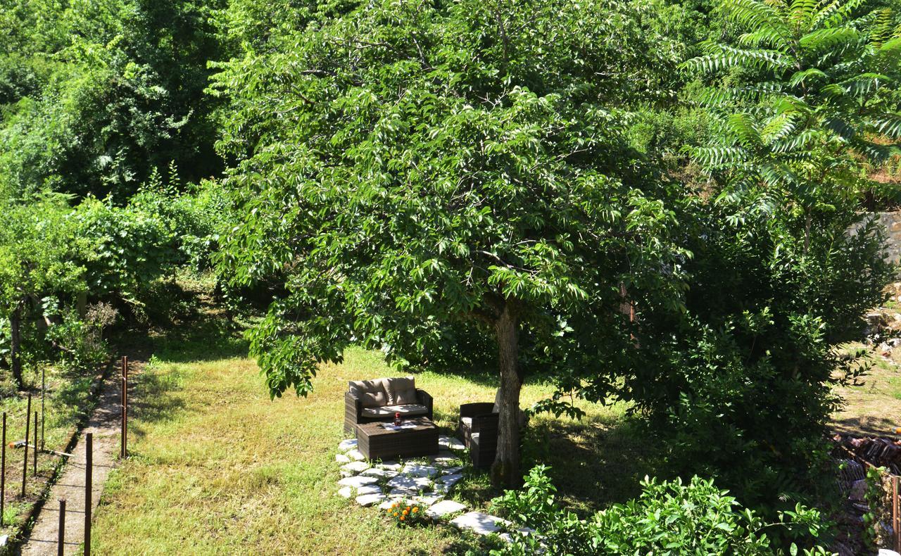 A Hundred Olive Trees Apartments Kotor Extérieur photo